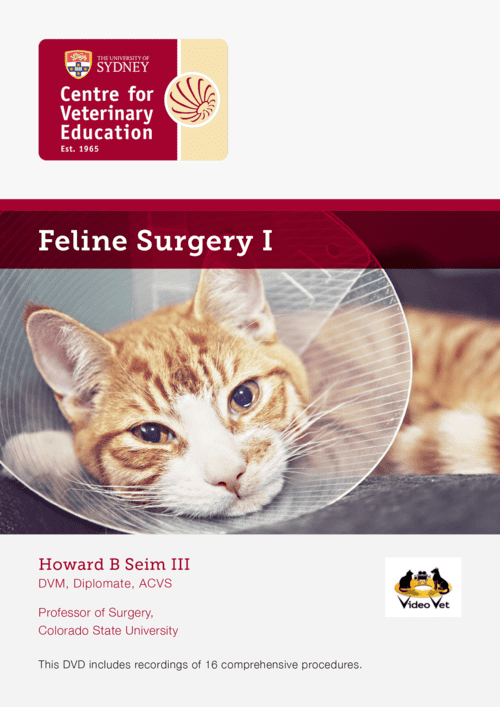 Feline Surgery I
