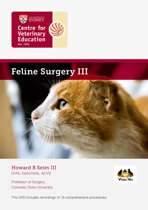 Feline Surgery III