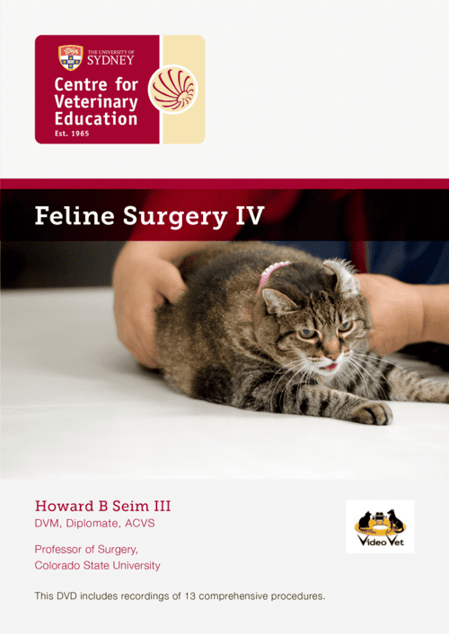 Feline Surgery IV