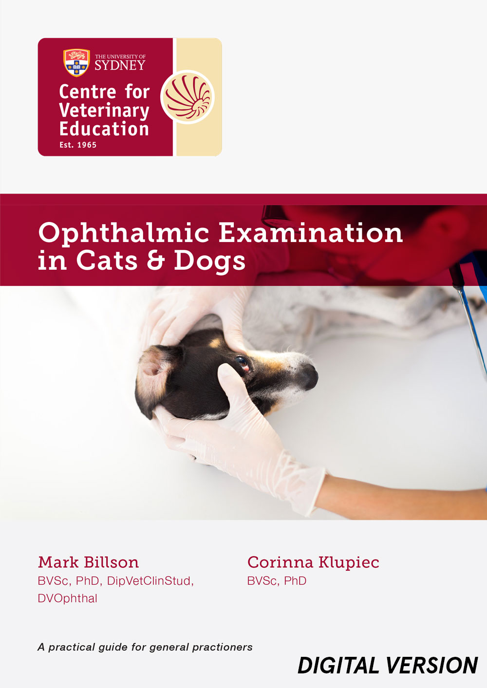 Ophthalmic Examination in Cats and Dogs (MP4)