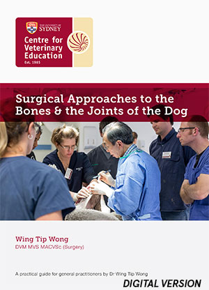 Surgical Approaches to the Bones & the Joints of the Dog (MP4)