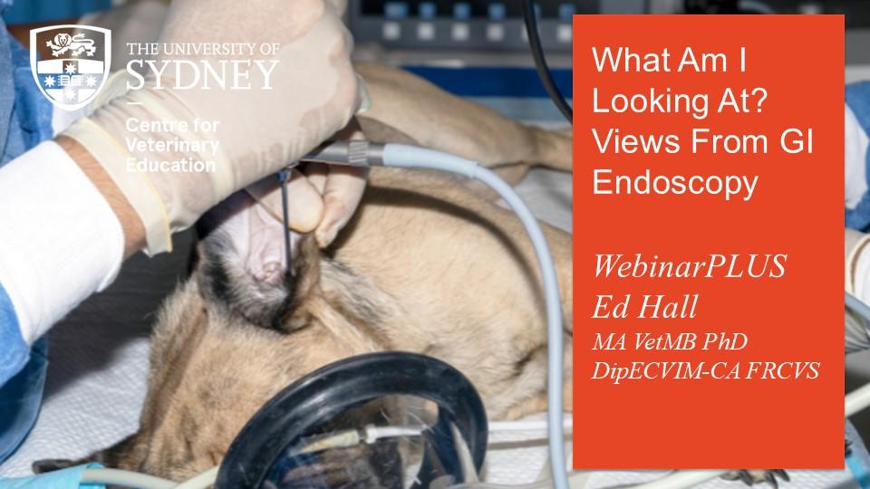 What Am I Looking At? Views From GI Endoscopy WebinarPLUS