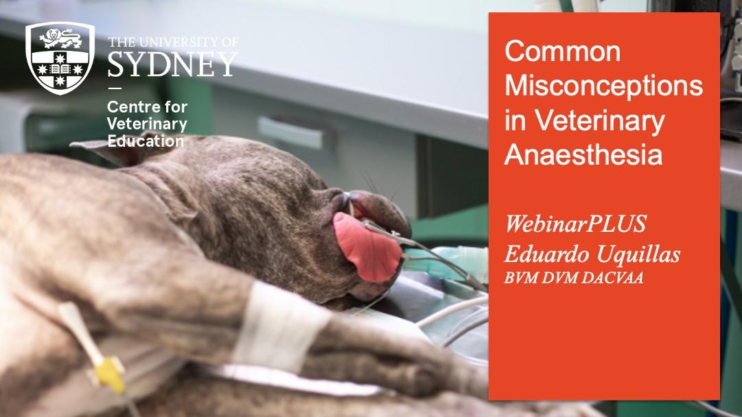 Common Misconceptions in Veterinary Anaesthesia WebinarPLUS