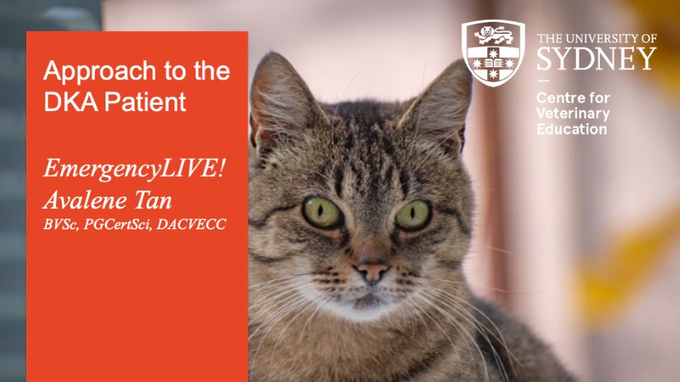Approach to the DKA Patient EmergencyLIVE!