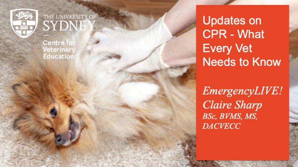 Updates on CPR - What Every Vet Needs to Know EmergencyLIVE!