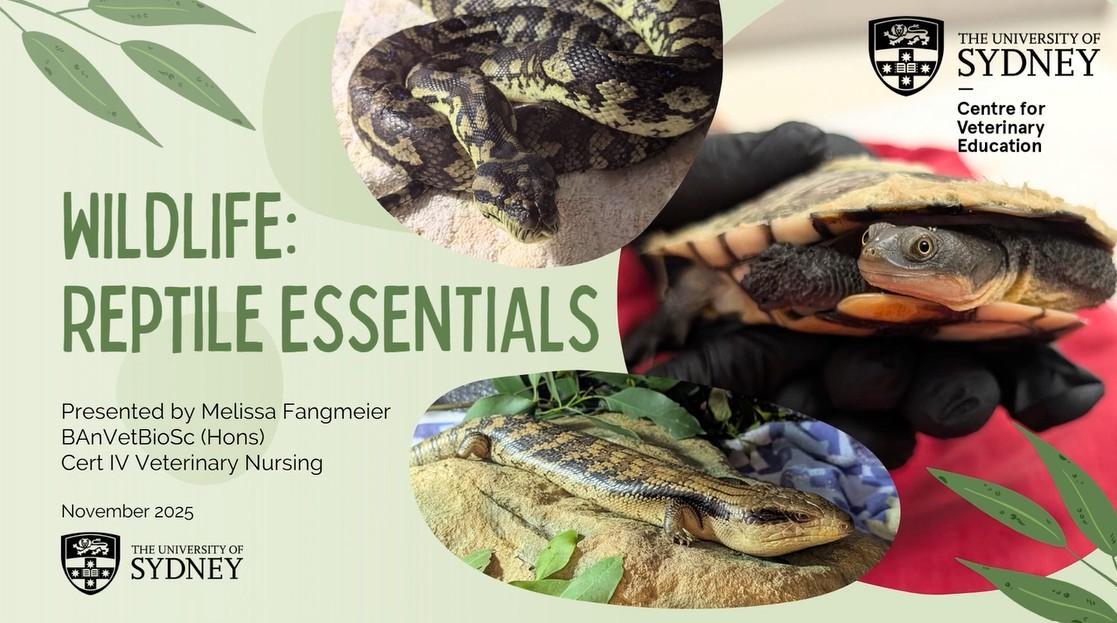 Wildlife Reptile Essentials WebinarPLUS NurseEd