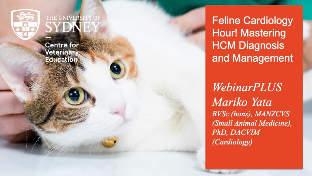 Feline Cardiology Hour! Mastering HCM Diagnosis & Management WebinarPLUS