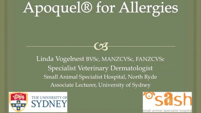 Apoquel for allergies: when to consider, and how to maximise efficacy and safety
