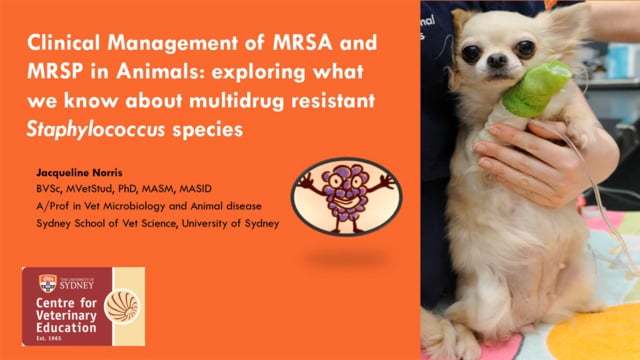 MRSP and MRSA Clinical Management