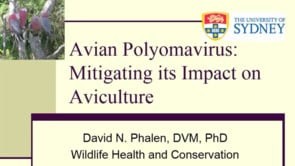 Avian Polyomavirus: Mitigating its Impact on Aviculture