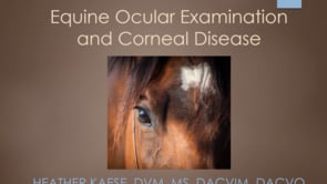 Equine Corneal Disease