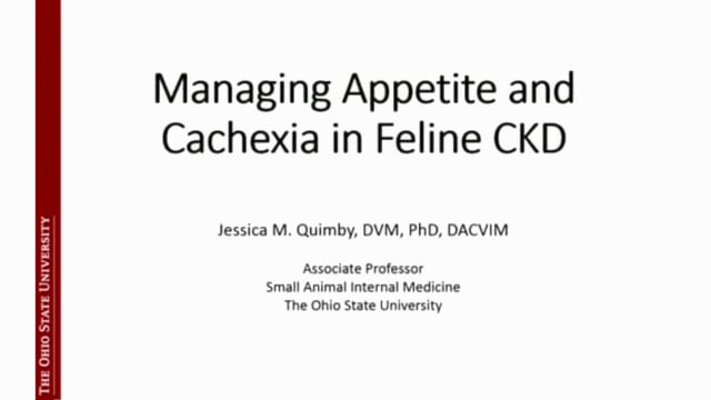 Managing Appetite and Cachexia in Feline CKD