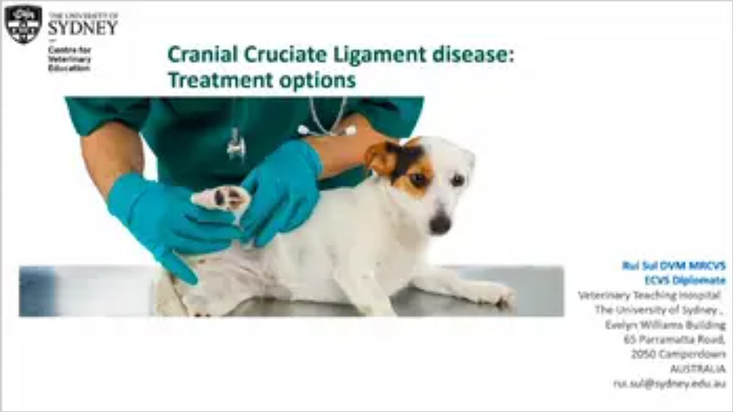 Cranial Cruciate Ligament Disease: TPLO, TTA , extra-capsular or none of the above