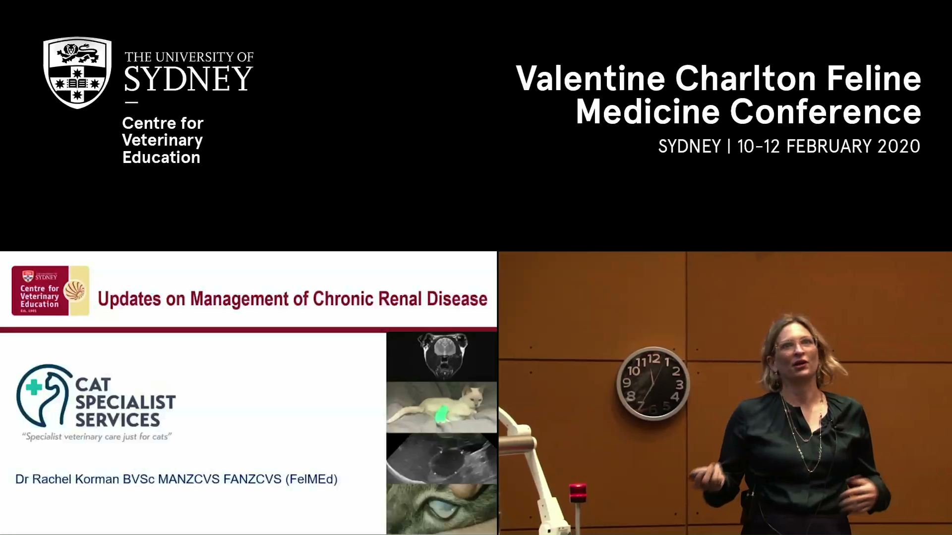 Updates on management of chronic renal disease (incl. IRIS staging)