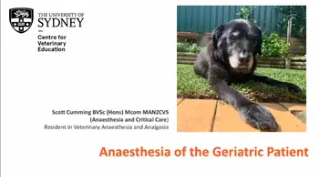 Anaesthesia in the Geriatric Patient
