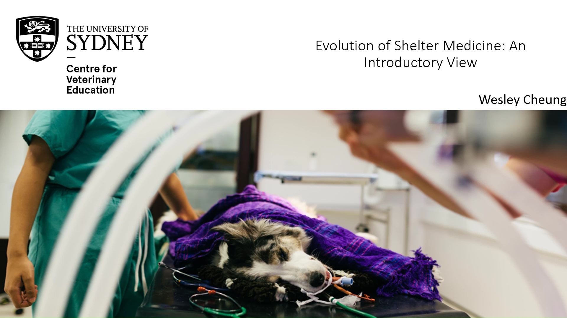 Evolution of Shelter Medicine: An Introductory View