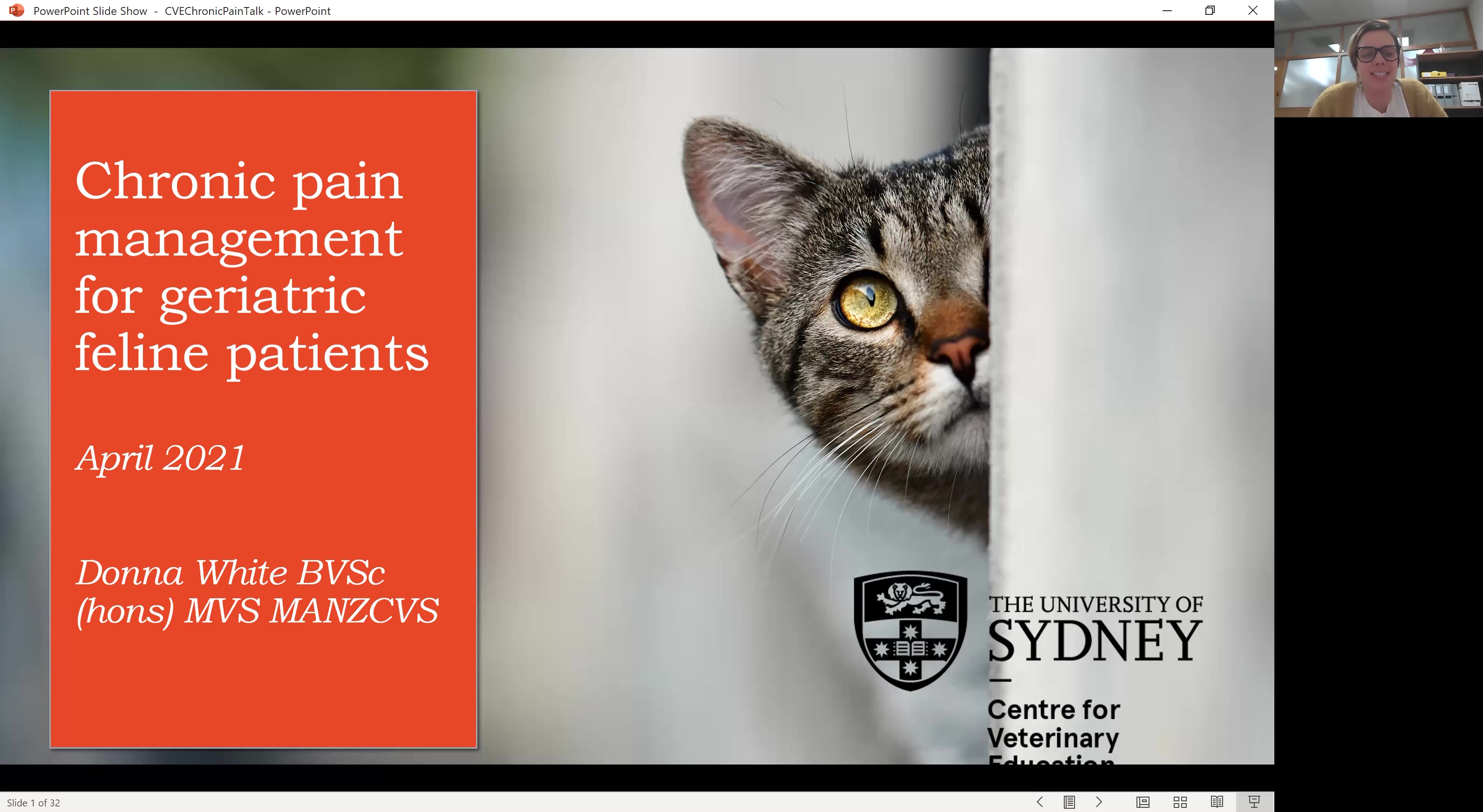 Chronic Pain Management for Geriatric Feline Patients