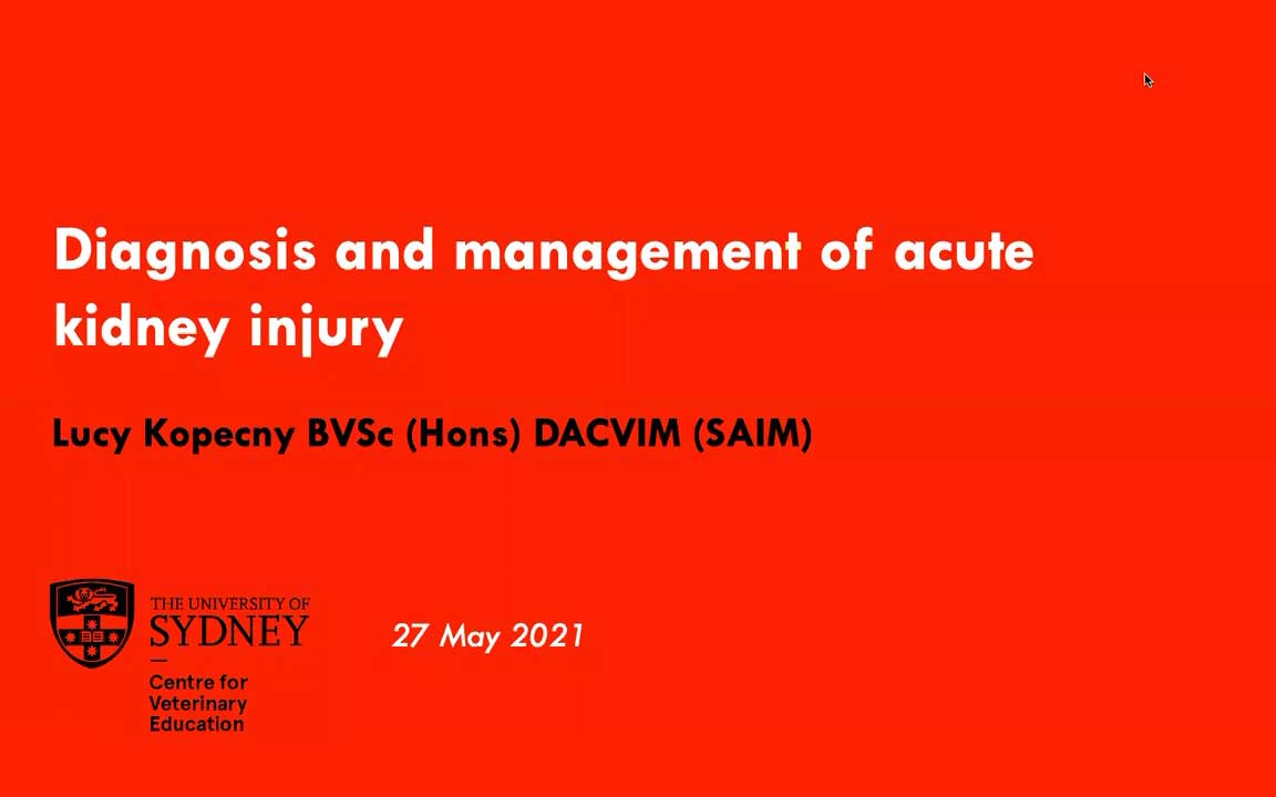 Diagnosis and Management of Acute Kidney Injury