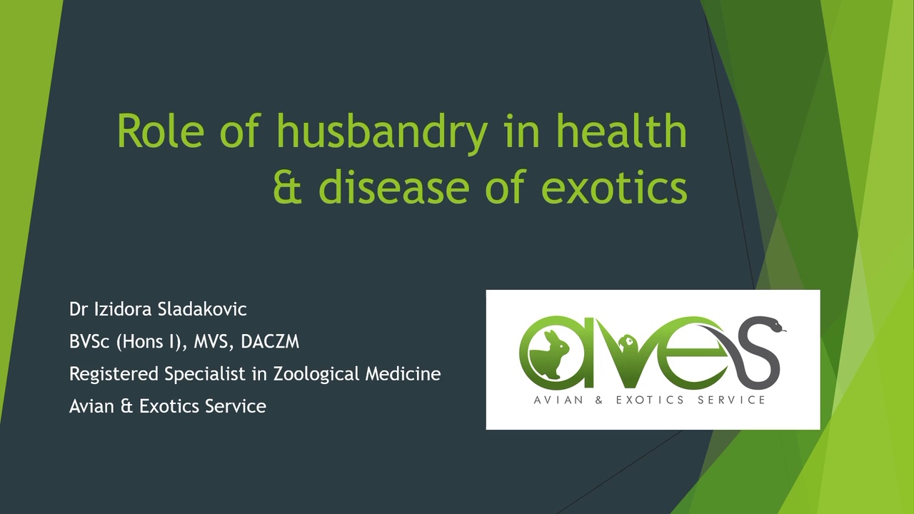 Role of Husbandry in Health & Disease of Exotic Pets