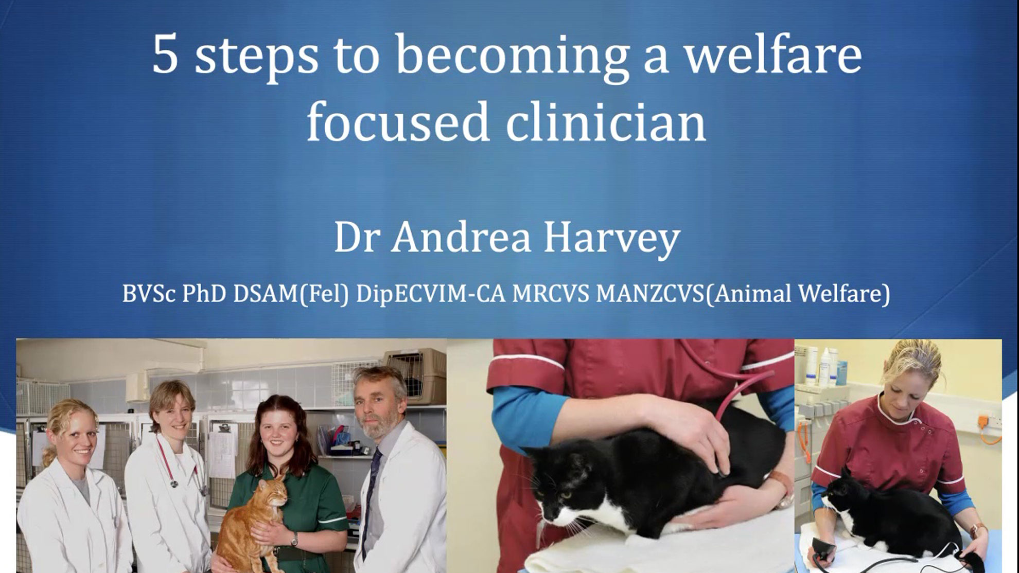 5 Steps to Becoming a Welfare Focused Clinician
