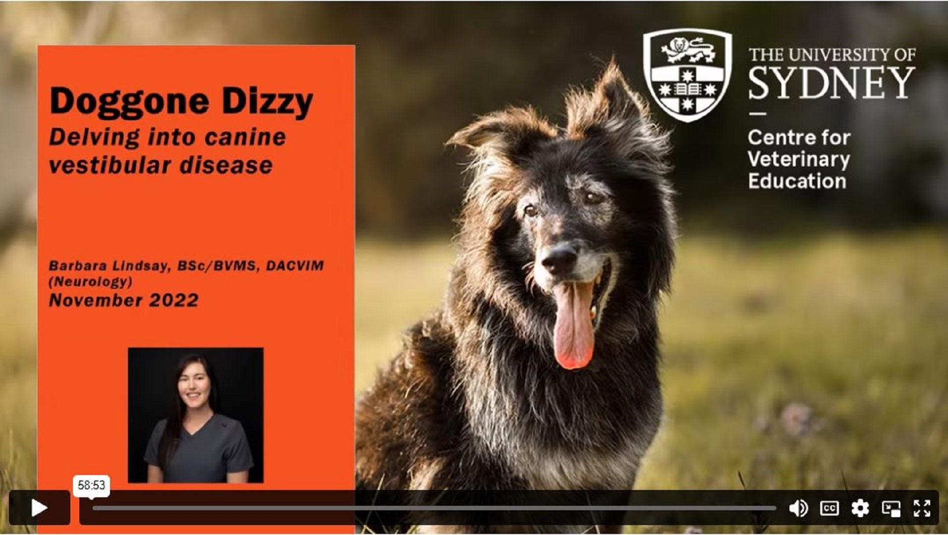 Doggone Dizzy! Canine Vestibular Disease WebinarPLUS