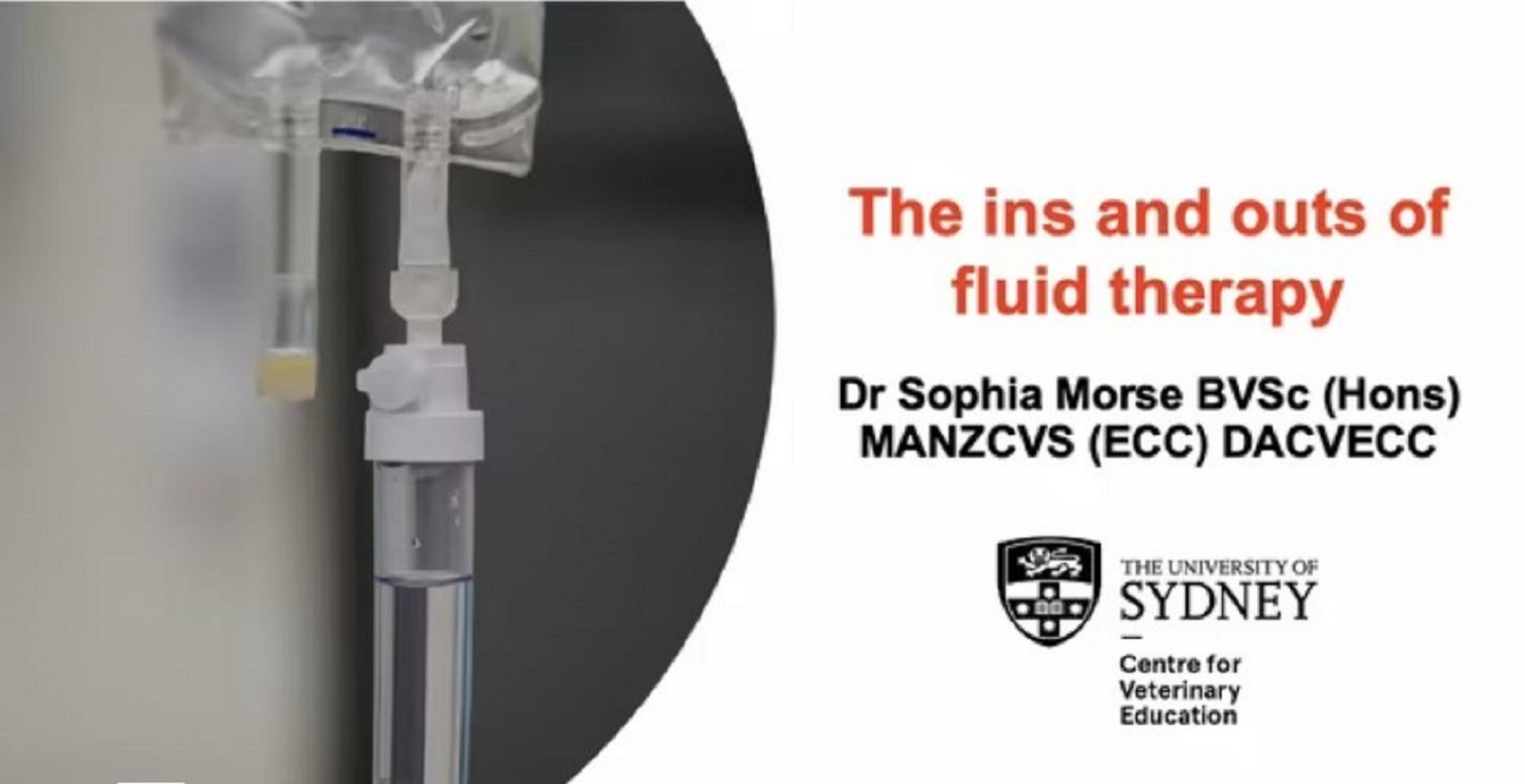 The Ins and Outs of Fluid Therapy: Cats and Dogs WebinarPLUS
