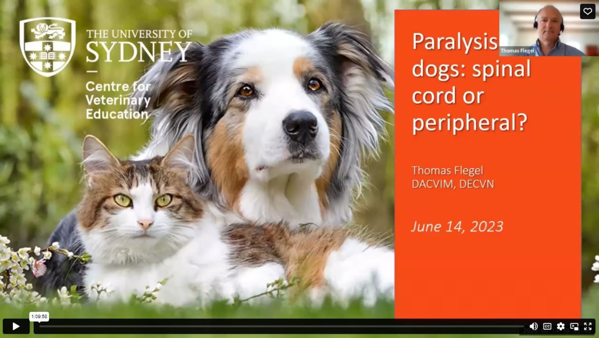 Paralysis in Dogs: Spinal Cord or Peripheral? WebinarLIVE!