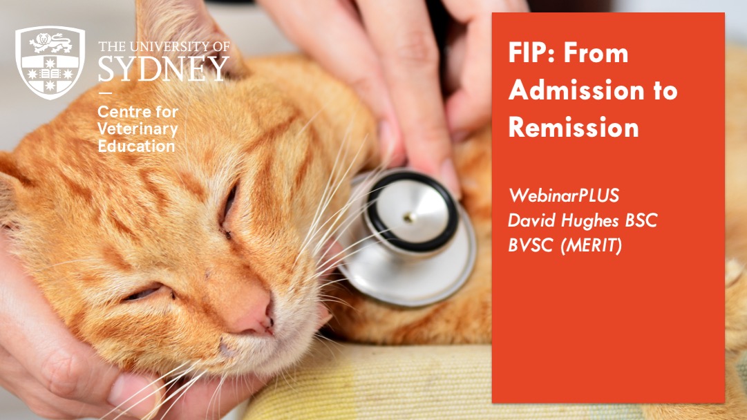FIP: From Admission to Remission WebinarPLUS