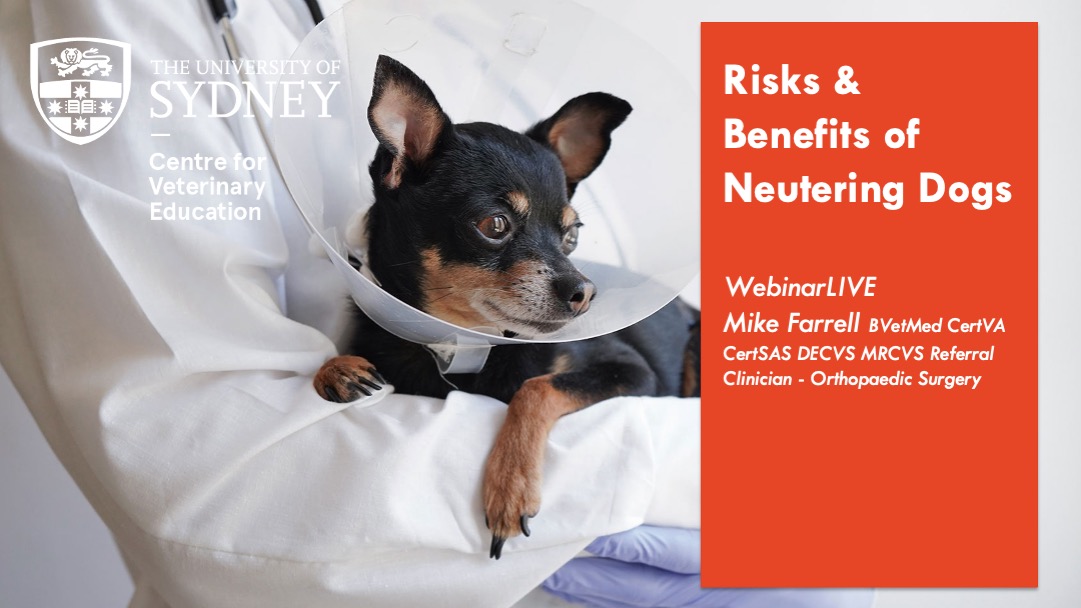 Risks & Benefits of Neutering Dogs WebinarLIVE