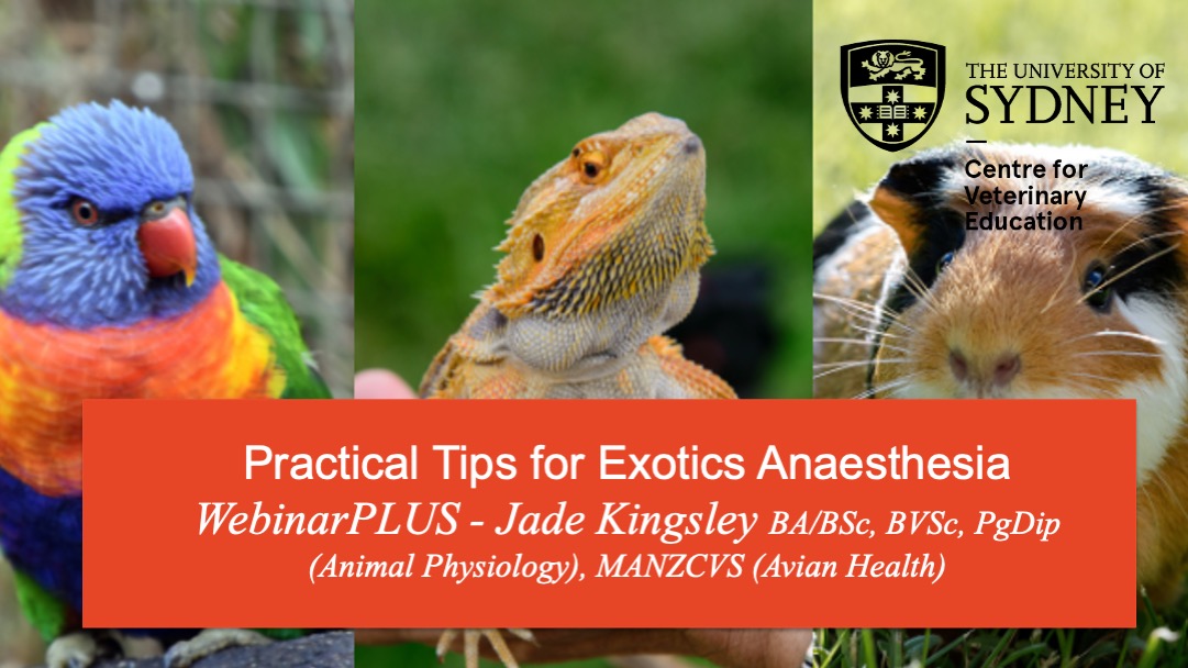 Practical Tips for Exotics Anaesthesia WebinarPLUS