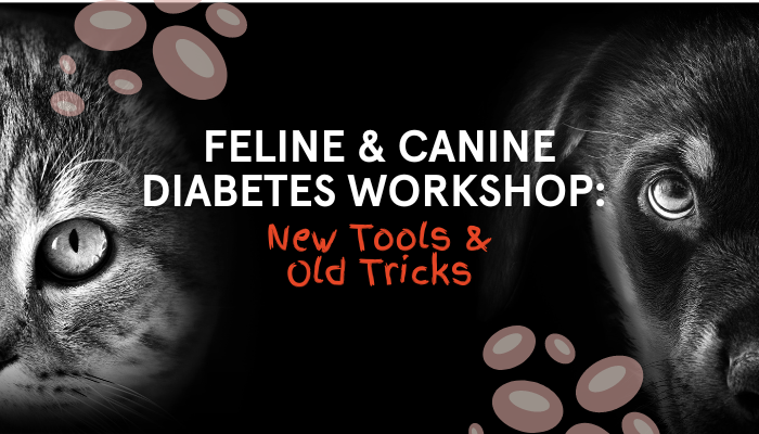 Feline & Canine Diabetes Workshop: New Tools & Old Tricks