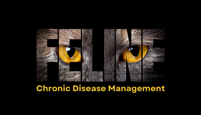 VC Feline Chronic Disease Management Conference