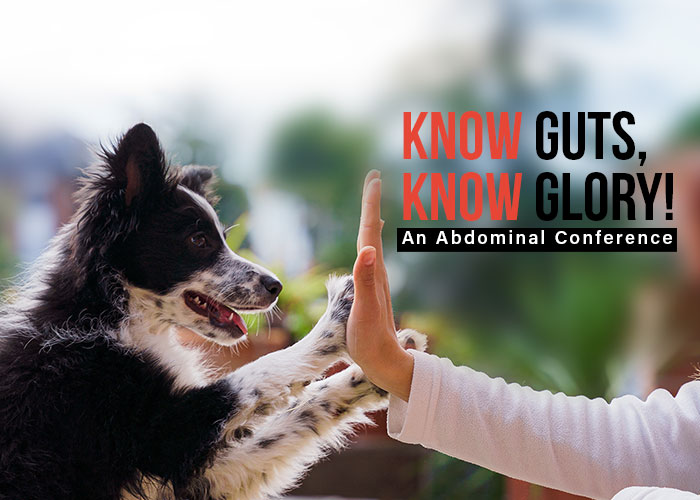Know Guts, Know Glory! An Abdominal Conference