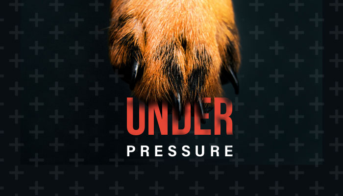 Paws Under Pressure: An Emergency Medicine Conference