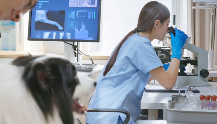 animal clinical pathology