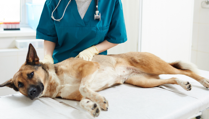 Internal Medicine: A Problem Solving Approach Distance Education