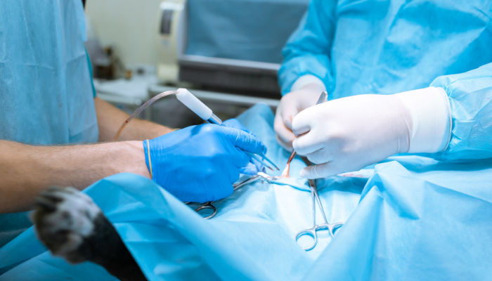 Surgery Distance Education