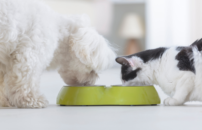 Small Animal Nutrition TimeOnline