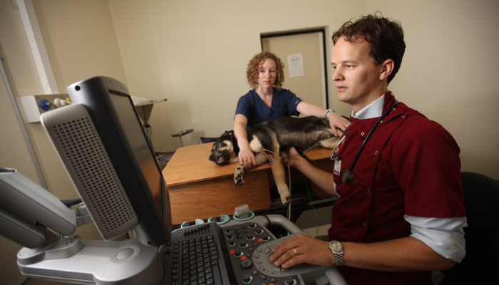 Basic Echocardiography